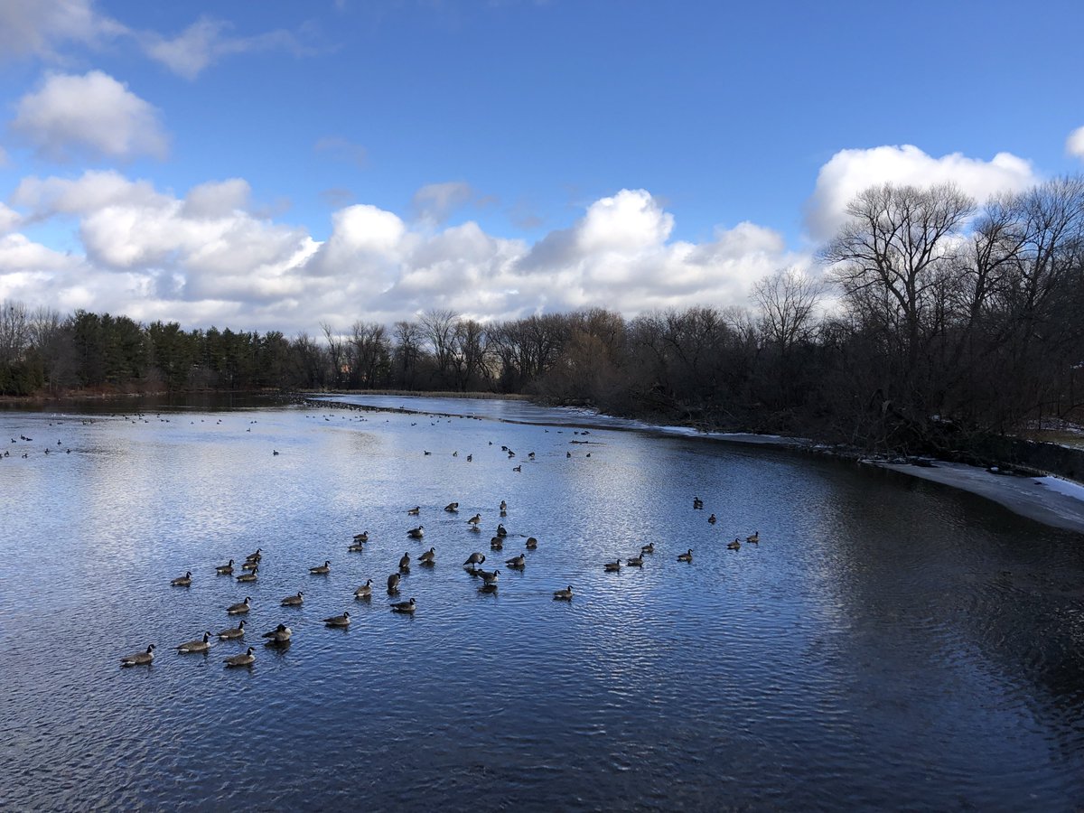 klawrenc's tweet photo. Peaceful scene at the junction of the Speed and Eramosa rivers this afternoon. #Guelph https://t.co/8MjjRpDmdw