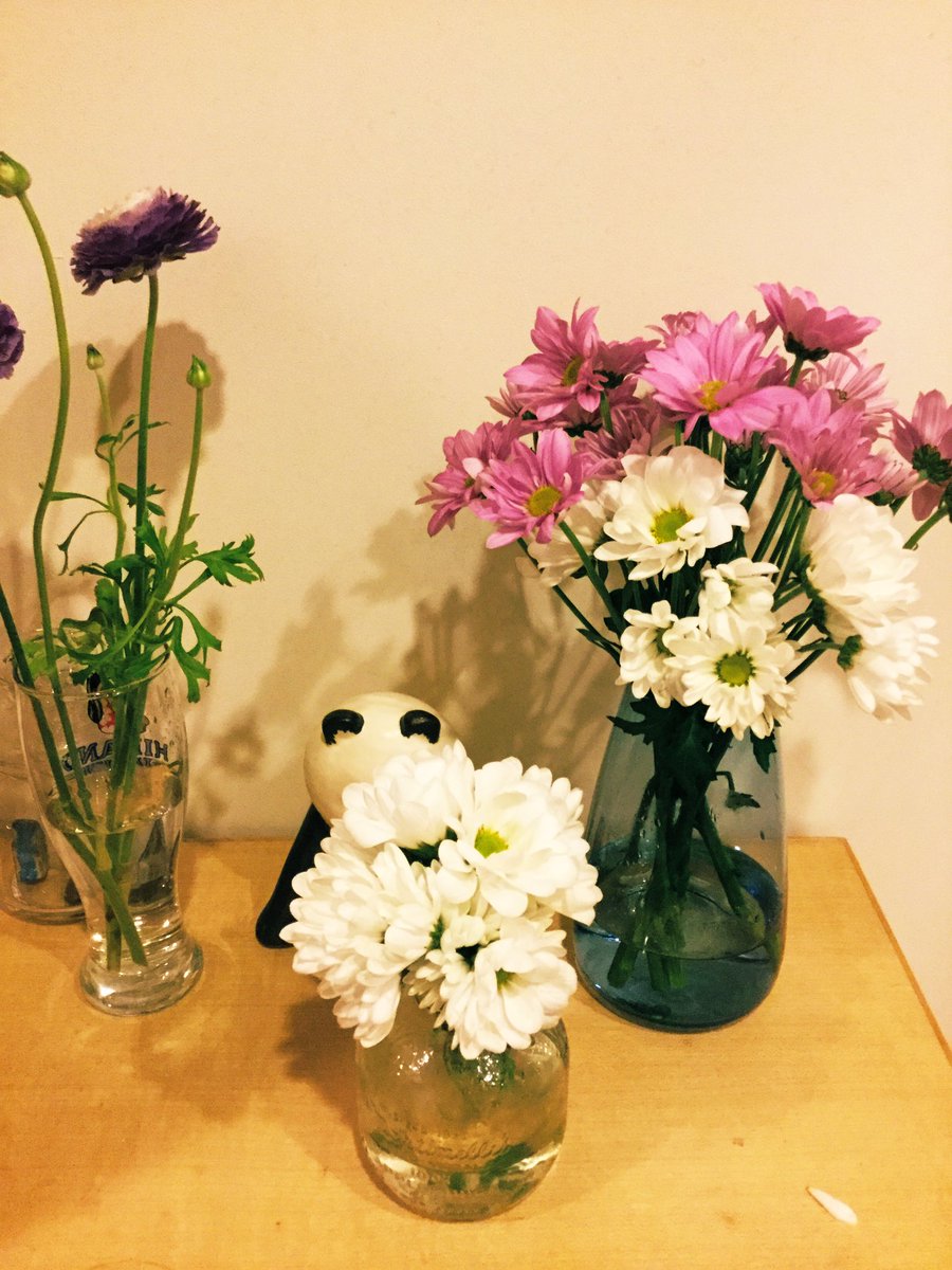ネコ 菊をくれた方の生け方が素晴らしく 自分がずいぶん貧相に見えたので直してみたが自分が一向に良くならず これ以上花を痛めつるのは忍びなかったので諦めた これが精一杯 無理 華道教室に通いたい 花のある暮らし