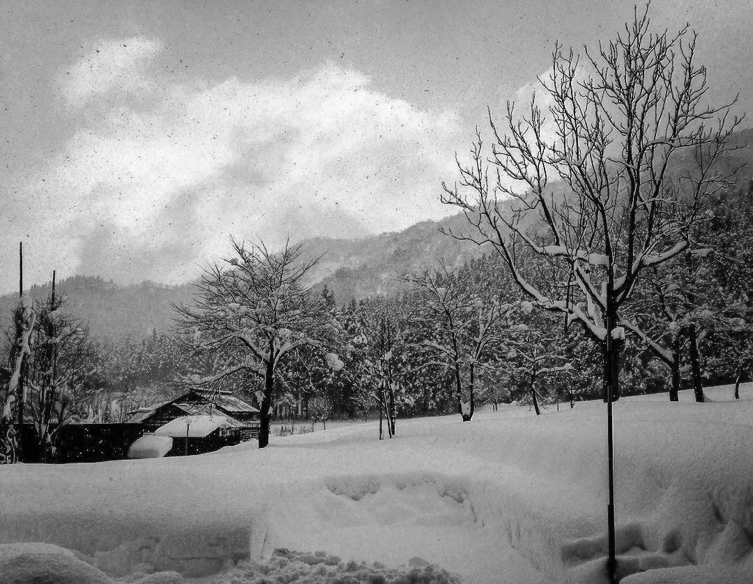 GridWhite's tweet photo. monochrome 0079

白という色を感じながら。雪をモノクロで。

#雪
#モノクロ
#photography
#キリトリセカイ
#ファインダー越しの私の世界
#写真好きな人と繋がりたい https://t.co/vp2pLVsEUF