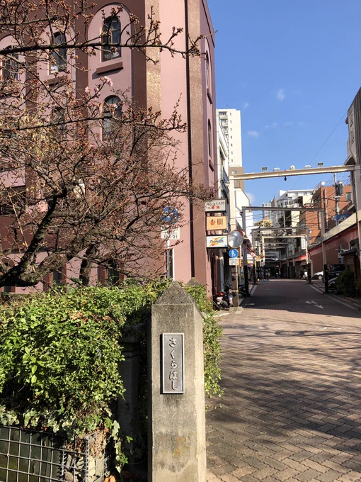 熱海はもう来週から桜祭り 