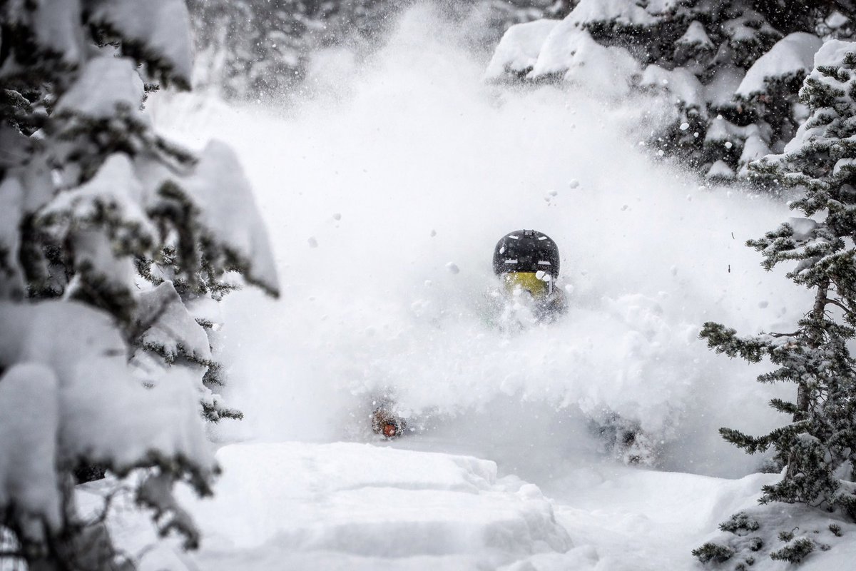 Snowbird's tweet photo. When you get 20” of snow, were expecting 4” when lifts open, and still have up to another 17” coming. 
📷: @Chris_Segal ❄️: Reed Snyderman https://t.co/KvtPU2TL2O