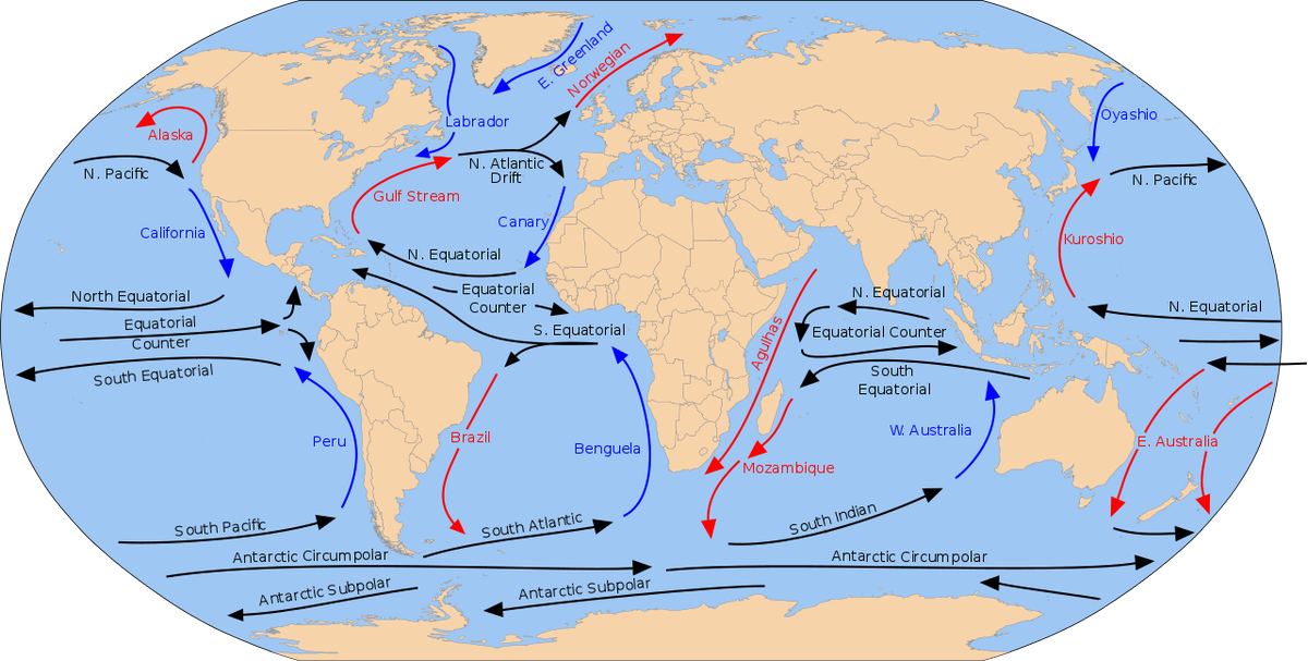1. Almoravids were Senegalese2. The North Equatorial Current flows from Senegal to the Caribbean3. You can cross the Atlantic there in 9 wks4. Columbus after Almoravid defeat in 1492 crossed the Atlantic at Senegal Conclusion: the Moors knew where to cross the Atlantic.