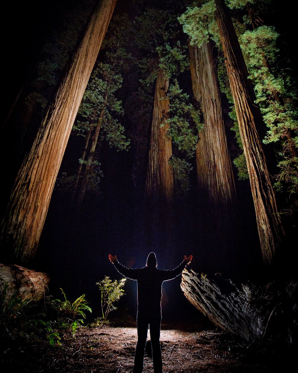 OutdoorDetour's tweet photo. Favorite night shot of 2018. Took my backpack off for this pic then left without it &amp; didnt realize until I was 4 hours away. 🤦‍♂️ The Redwood Natl Park Rangers recovered it and shipped it to me a day before the last govt shutdown. We need our Rangers! #GovtShutdown #NationalParks https://t.co/q1kOqSSHwj