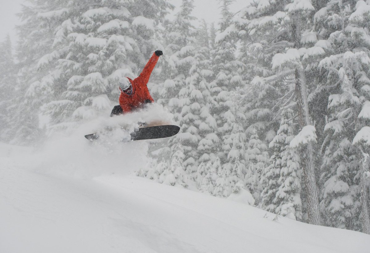 Tetherow (@tetherowresort) on Twitter photo Fresh powder ALL DAY with more on the way! Book a Ski and Stay at Tetherow and we'll have your lift tickets and shuttle service to <a href="/mtbachelor/">Mt. Bachelor</a> ready for you. Yeeww! #skibend #skiandstay #mtbachelorstoked #inbend Fresh powder ALL DAY with more on the way! Book a Ski and Stay at Tetherow and we'll have your lift tickets and shuttle service to <a href="/mtbachelor/">Mt. Bachelor</a> ready for you. Yeeww! #skibend #skiandstay #mtbachelorstoked #inbend