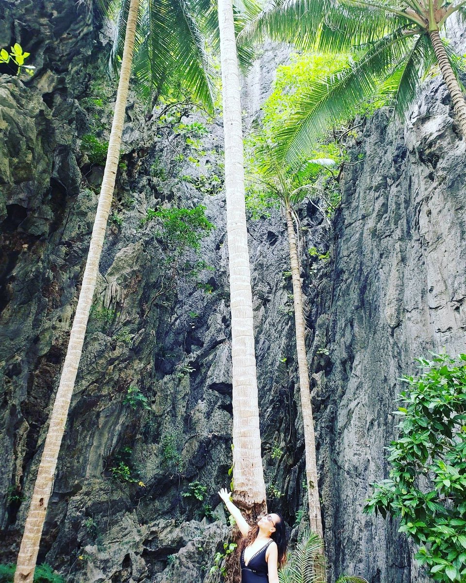 Bodintures's tweet photo. #Paradise #FamilyLove #ElNido #Palawan #gratitude #happyme #Pinas #Philippines #wheninPalawan #bodintures #lakwatsera #ilovetravel #itsalwayssummer #travel #travels #travelphotography #wanderlust #weekendtrip #amonthaway #getaway #beach #explore #weekendvibes #vacation https://t.co/ldy5rrp1Ho
