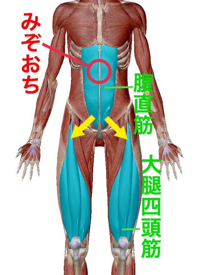 柴 雅仁 治療家 パーソナルトレーナー 股関節が固い 詰まりがある 痛みがある などの原因は 股関節ではなく腹直筋の固さにあったりする 腹直筋と 固まると股関節の動きを悪くする大腿四頭筋が繋がっているからね だから 股関節の動きを良くするなら 柴 雅仁 治療家 パーソナルトレーナー 股関節が固い 詰まりがある 痛みがある などの原因は 股関節ではなく腹直筋の固さにあったりする 腹直筋と 固まると股関節の動きを悪くする大腿四頭筋が繋がっているからね だから 股関節の動きを良くするなら