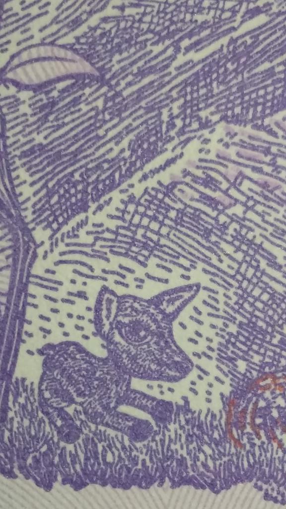 MooreIgnacio's tweet photo. #ElMooreInforma si no les dan ternura los billetes con animalitos no tienen alma! #AhhhNoLoHabiasVistoEh #Busquenloooos #LosEncontraraaaan #EnElPaisConBilletesDeMonopoly https://t.co/wyawjJCmw3