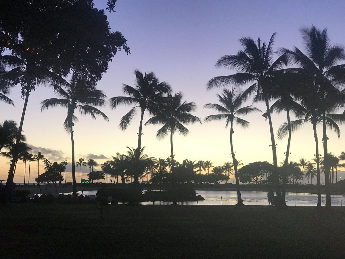 MarissaSarbak's tweet photo. Getting back into the swing of things at work is soooo difficult after the holidays and a vacation!! 😴 #TakeMeBackToHawaii https://t.co/pjNyRXkBPr