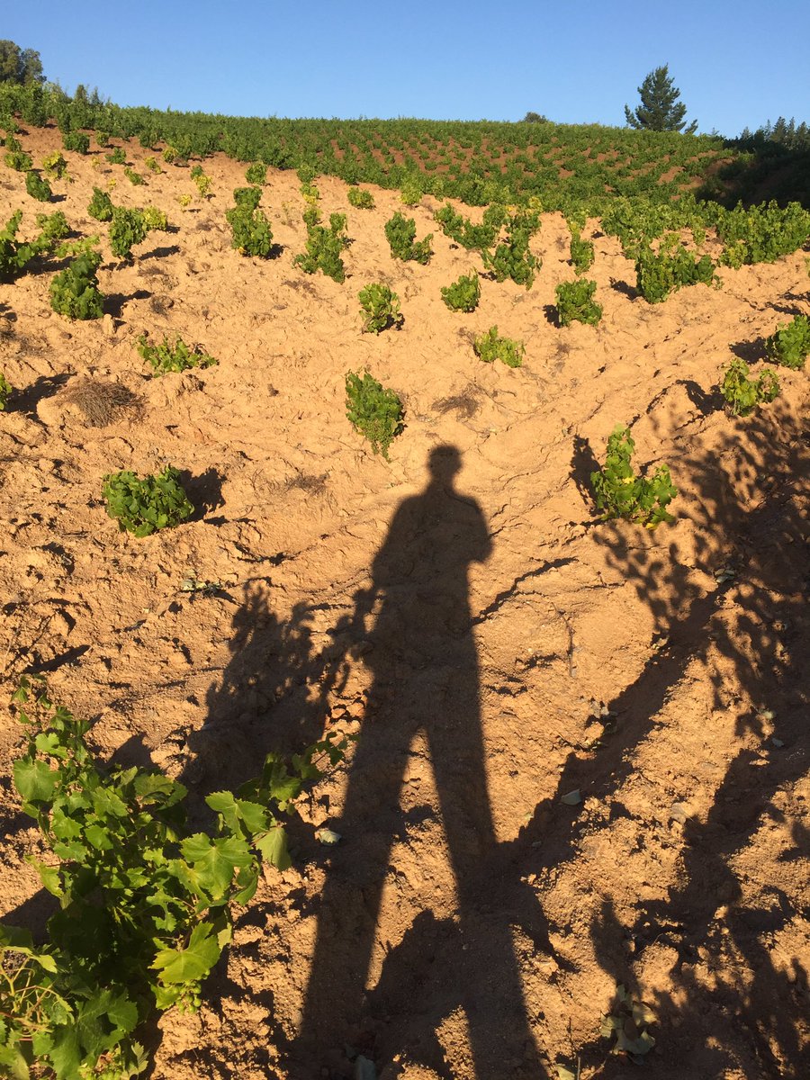 reinaentrecopas's tweet photo. #Bularco 🍷❤️ https://t.co/8czpIuaJyk