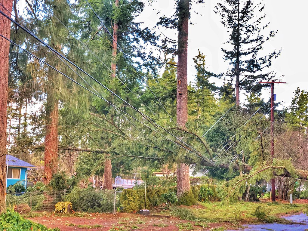 cabletech75's tweet image. Here’s some images from around Southeast King County, Maple Valley, Black Diamond and Enumclaw areas. Working to restore communications around the clock. @KING5Seattle @ComcastWA @komonews @KIRO7Seattle @Q13FOX