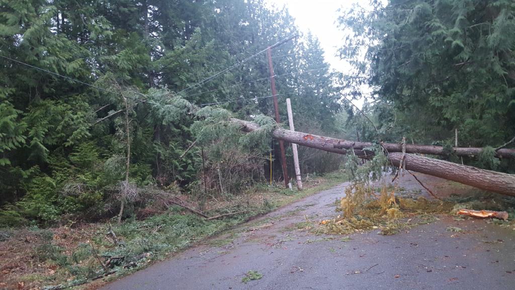 PSETalk's tweet image. There are often logistical challenges for our crews and their equipment during a storm.  Damage and debris can make roads and neighborhoods impassable. Those areas must be cleared before we can move in and begin our assessment and restoration work.