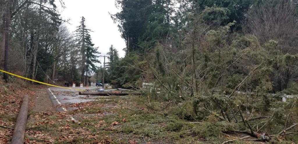 PSETalk's tweet image. There are often logistical challenges for our crews and their equipment during a storm.  Damage and debris can make roads and neighborhoods impassable. Those areas must be cleared before we can move in and begin our assessment and restoration work.