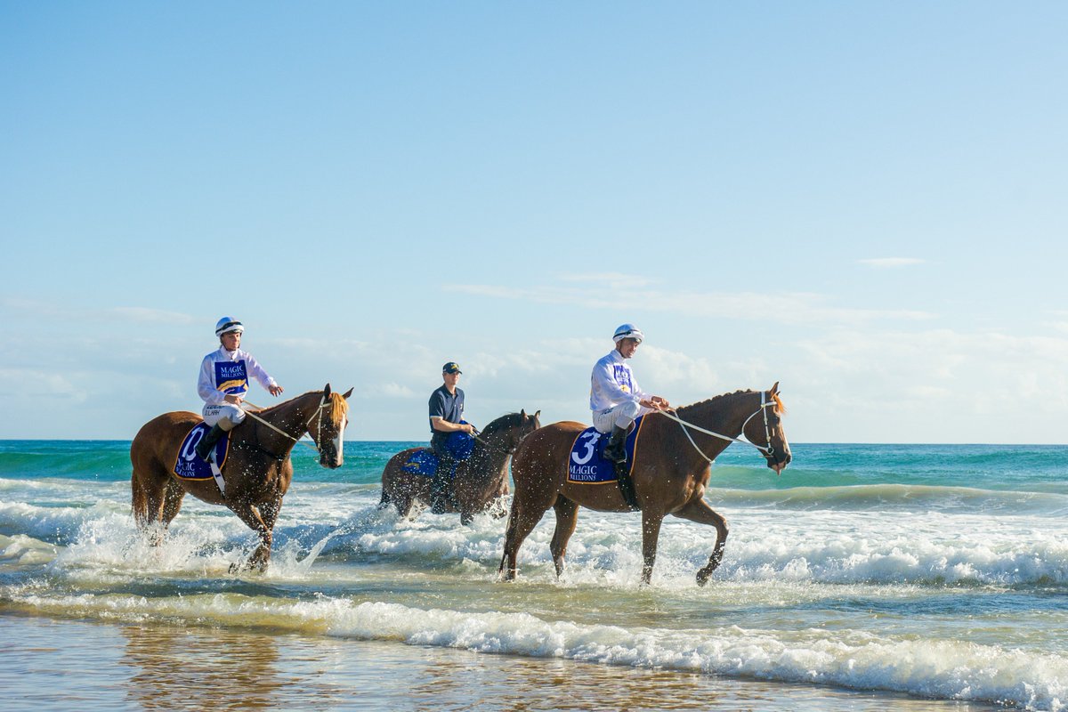 mmsnippets's tweet photo. What a line up for tomorrow's beach gallop!
@brentonavdulla, @TommyBerry21, @Coreyjockey, @jamieleekah07, @Kathy_ohara, D Browne, Callow, @Costin_Winona, @katelynmallyon, @HTCoffey, J Collett, Jess Taylor, Currie,
@billyslater, @cdsymons, @nachofigueras, @DelfiBF &amp; @kevinfrom7! https://t.co/GL201mUeEk