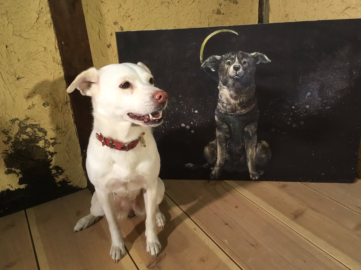 はしもとみお On Twitter ロシアから宇宙へ行った犬 ライカ犬
