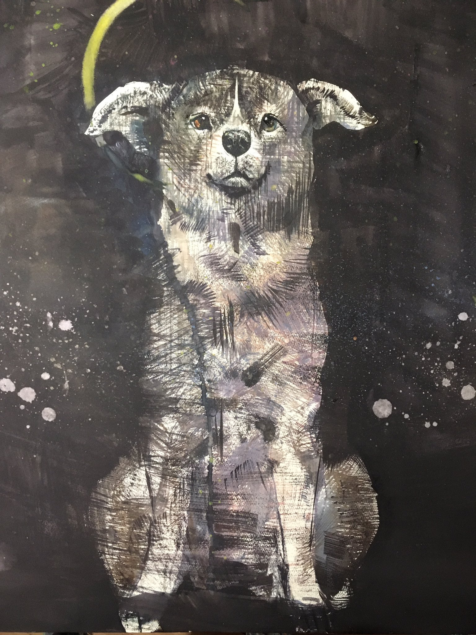 はしもとみお　アートキャンバス はしもとみお アートキャンバス 新品