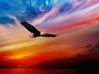 LinKate3's tweet photo. expelling all doubts
open, raw, vulnerable
rapt deliverance
#haikuchallenge

Art I Pinterest https://t.co/ZkWfnwh3AZ