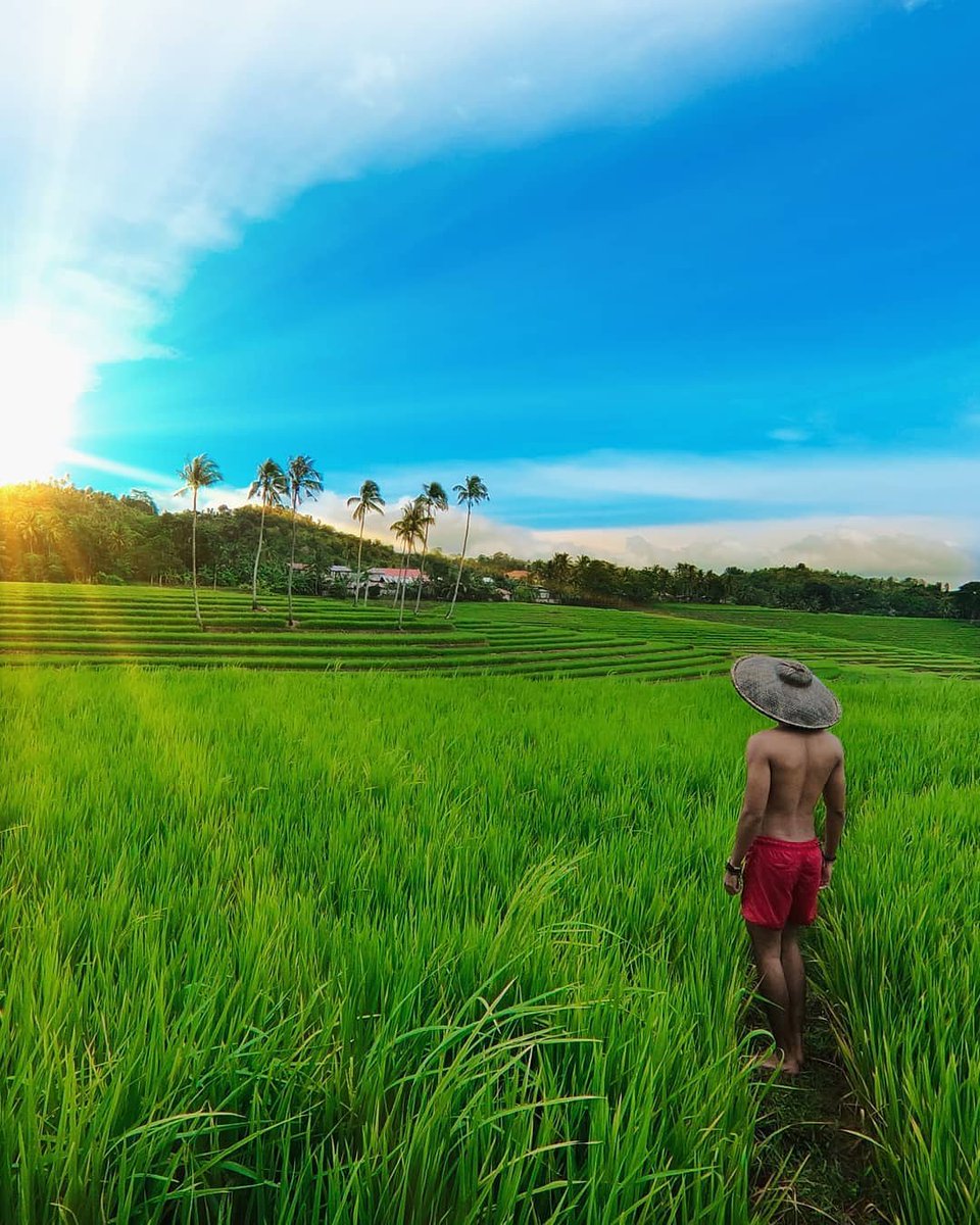 SeeBohol's tweet photo. Early bird catches the worm and probably all the fun. 🌄 

📸ctto: @rantoday 

#Repost #SeeBohol #travelPH #love #naturelovers #MondayMotivation #sunshine #RiceTerraces #Philippines https://t.co/YFgMStaY4j