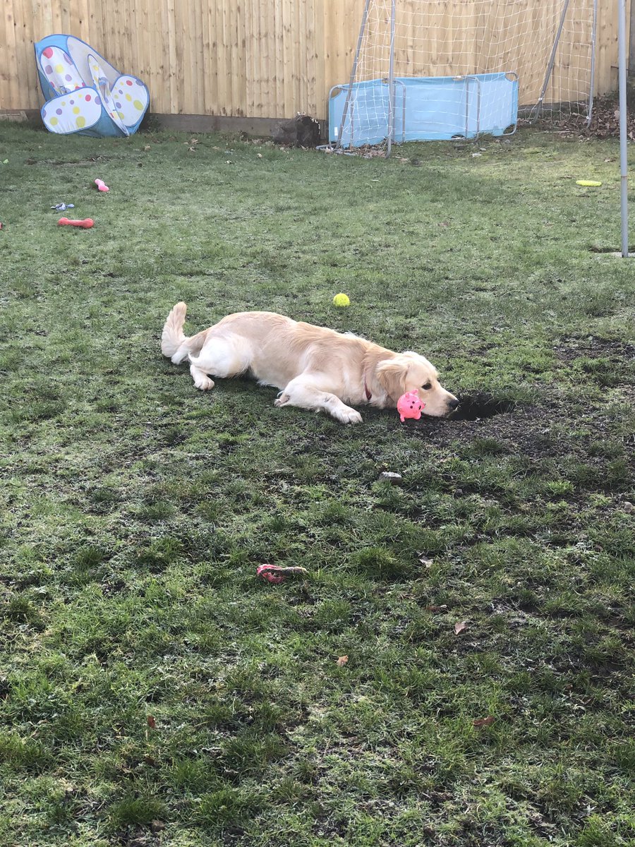 PawPalm's tweet photo. https://t.co/8XArWwVnvP