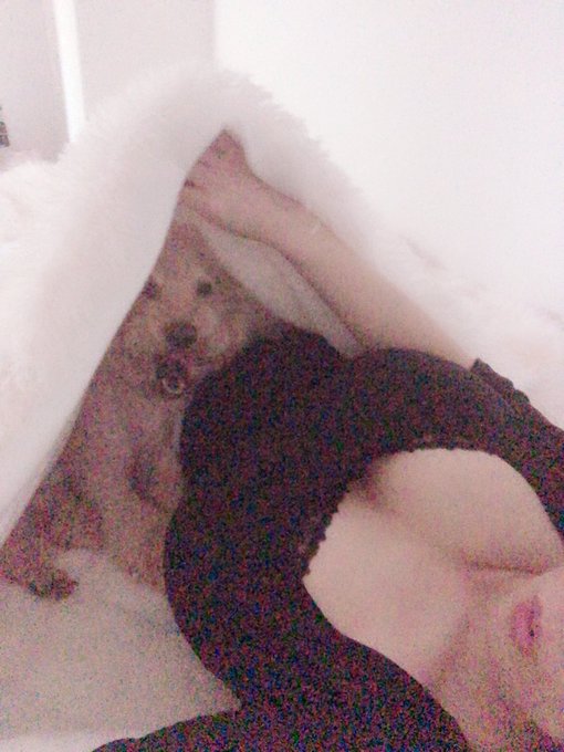 2時間睡眠で講習行ったのでお昼寝！ 免許って引っ越したら警察署にも行かなきゃ行けないの知らなくてハガキ来ず失効w 半年以内だからまだよかったけどー！ ゴールドが普通になっちまったw 昼寝開始 https://t<a href="/tag/ps4share"class="tags"><span>#ps4share</span></a>