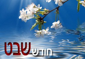 SarahFrum's tweet image. חודש טוב ומבורך