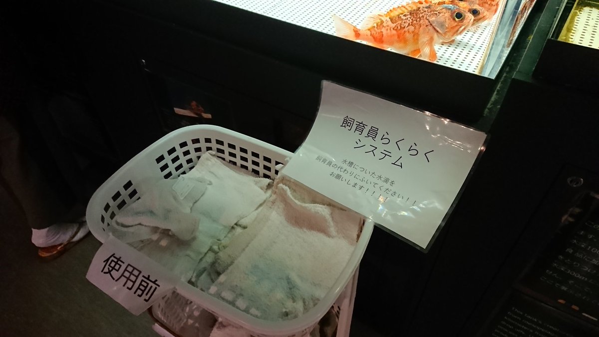 むろと廃校水族館の 飼育員らくらくシステム が画期的 Togetter むろと廃校水族館の 飼育員らくらくシステム が画期的 Togetter