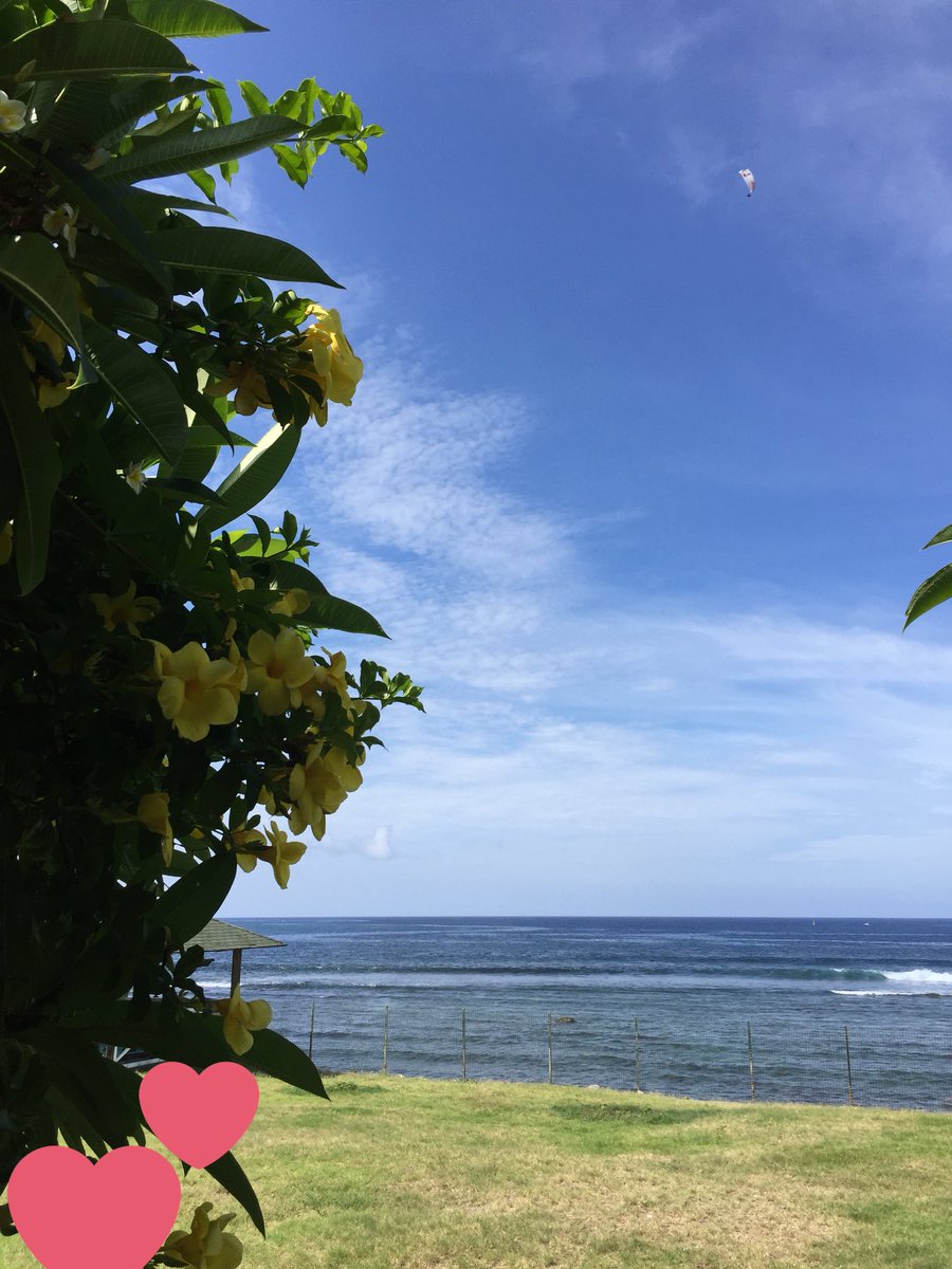 mlclain's tweet photo. Île intense #vacances #runisland #ileintense #parapente #reservemarine https://t.co/OgNxzshtgt