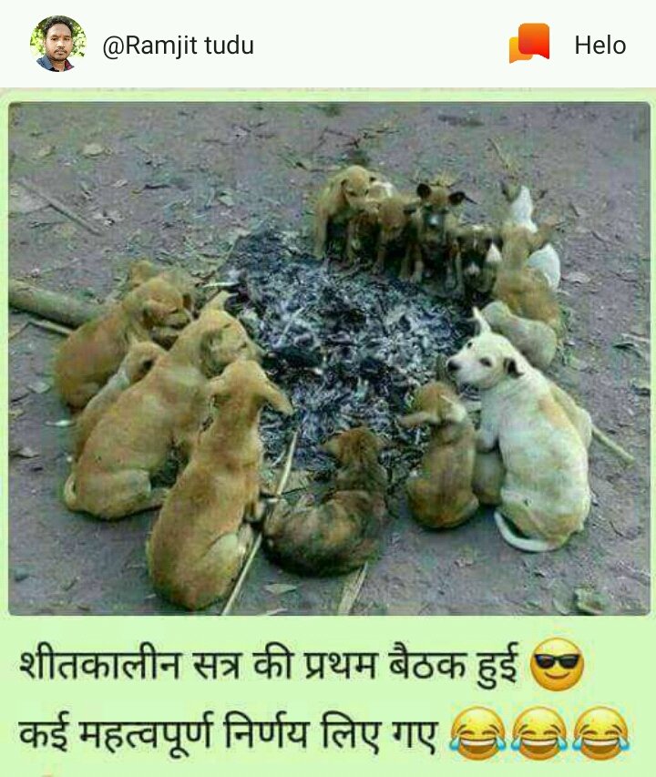 RohitkumarjhaM's tweet image. 