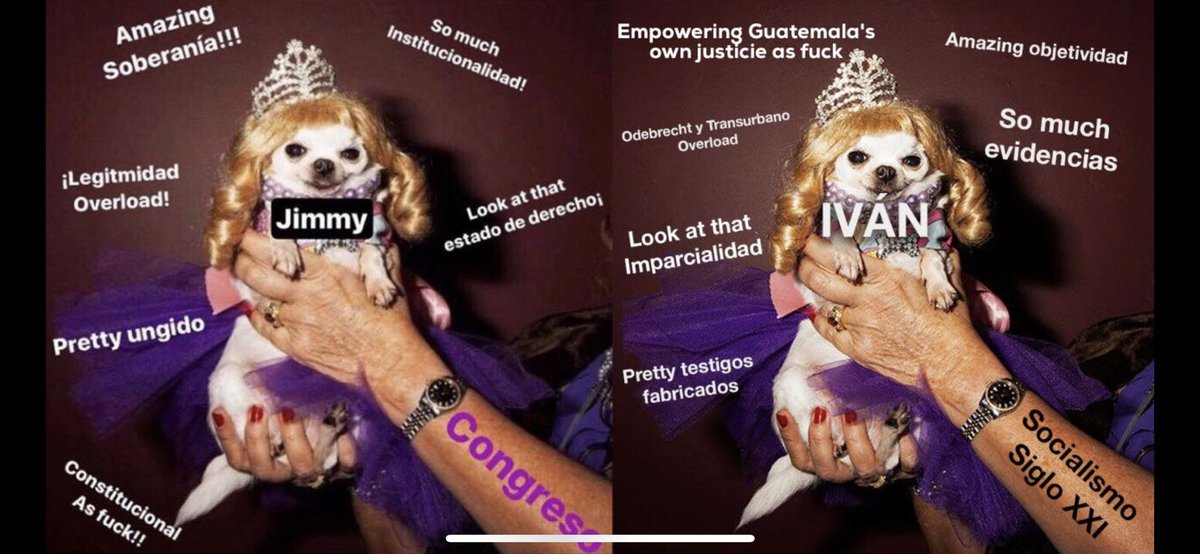 GloriaAlvarez85's tweet photo. Es increíble como este Meme NUNCA pasa de moda para lo que ocurre en Guatemala 🇬🇹 https://t.co/HhYl1Hia2r