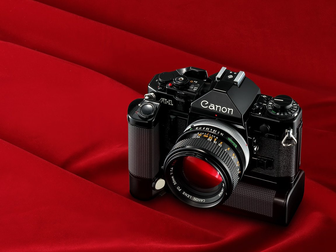 Canon Россия tweet media