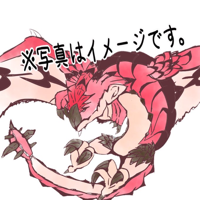 リオレウスのtwitterイラスト検索結果 リオレウスのtwitterイラスト検索結果