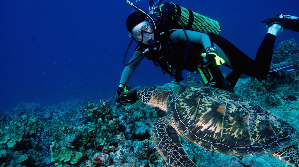 DaysInnGuam's tweet photo. Visit Guam for a great start to 2019! Go Scuba Diving in Guam!
#scubadiving, #GuamWaters, #GuamTourism 
https://t.co/OUAxX4NzDq https://t.co/iiOz34cRRA