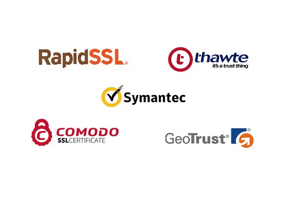 clickssl's tweet photo. Want to get discount price for SSL certificates at ClickSSL? https://t.co/v8aPEergOq
#sslcertificates #discountprice #ClickSSL https://t.co/nTC3kDPAmA