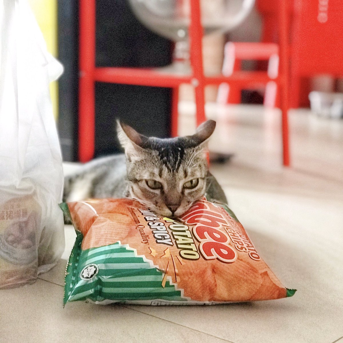 AlluringCombine's tweet photo. Didn’t know someone love potato chips also?! https://t.co/VhakRjWJUl