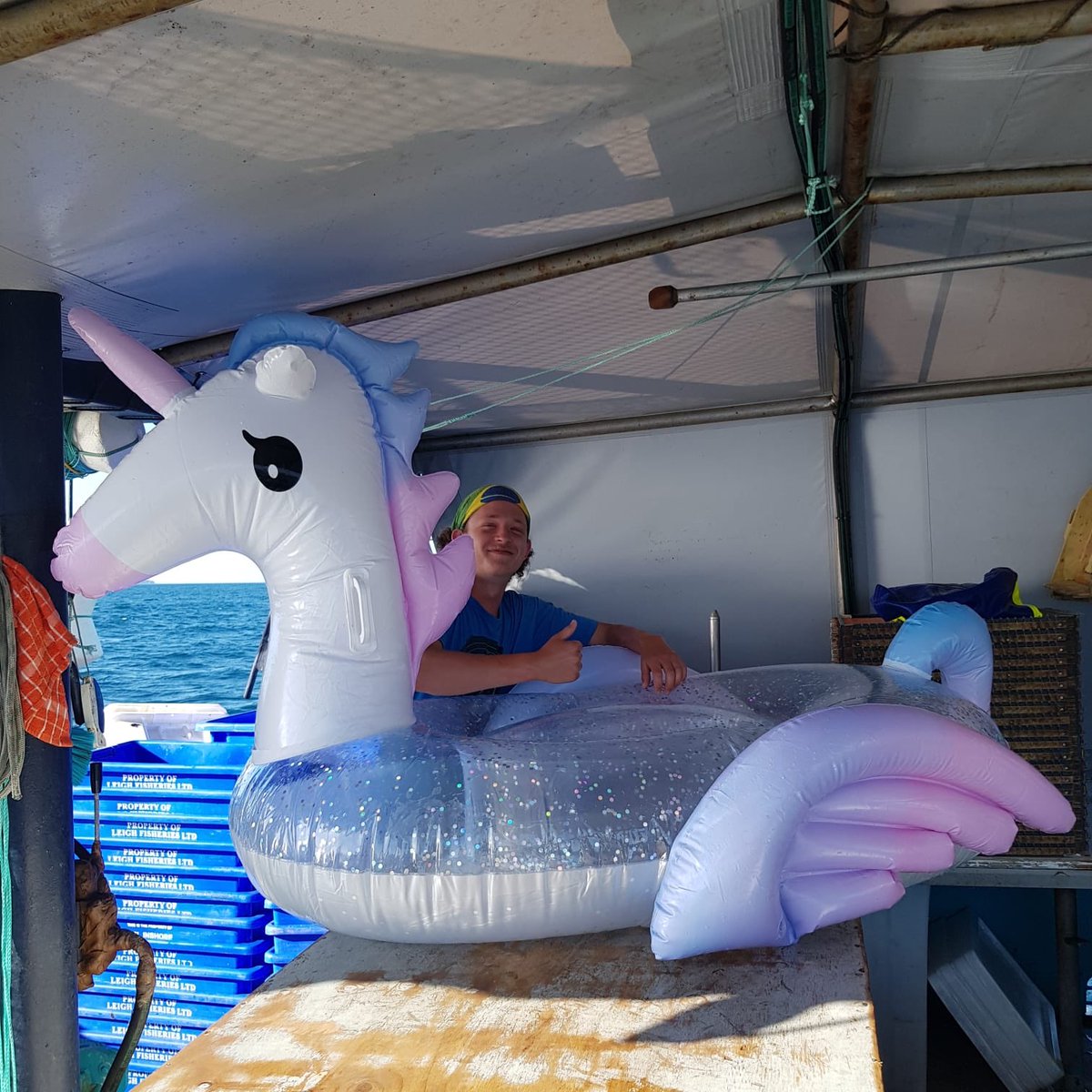 Our Catch of the day 😂 #TrueStory #catchoftheday #newteam