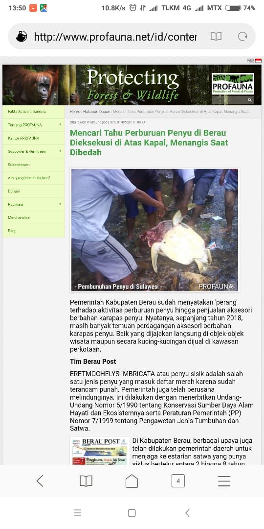 Djual di pulau Derawan. 😰😰😰saya pikir orang2 pulau derawan tidak mengijinkan hal ini terjadi.  Ayo pemda &amp; aparat hentikan hal ini segera.