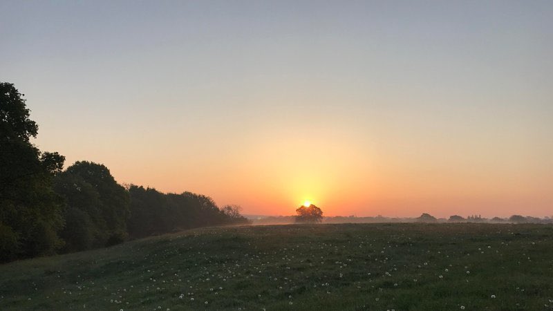 Team4Nature's tweet photo. NEW UK PETITION to SIGN &amp; SHARE:

If YOU see this tweet, PLEASE spare a minute to make YOUR PLEDGE of FRIENDSHIP to NATURE!

TOGETHER we can show local councillors and MPs that the people are UNITED and want U.K wildlife &amp; green spaces PROTECTED! ✊️👇
https://t.co/e2dQDd88Bd https://t.co/qTMpdhmkn1