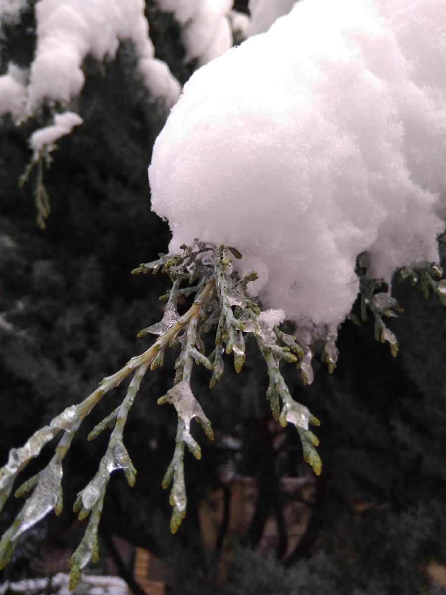 SophieChansard's tweet photo. Günaydın Ankara... ❄️☃️
#expatlife #Ankara #Turquie #neige #KarNerde https://t.co/c9gH51j42R