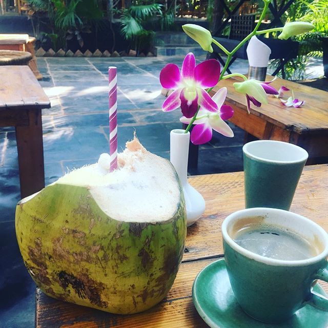 MDuignam's tweet photo. New coffee ritual #coffeeholic#coconutlover #Agonda#Zest# https://t.co/DO0lMiklgY
