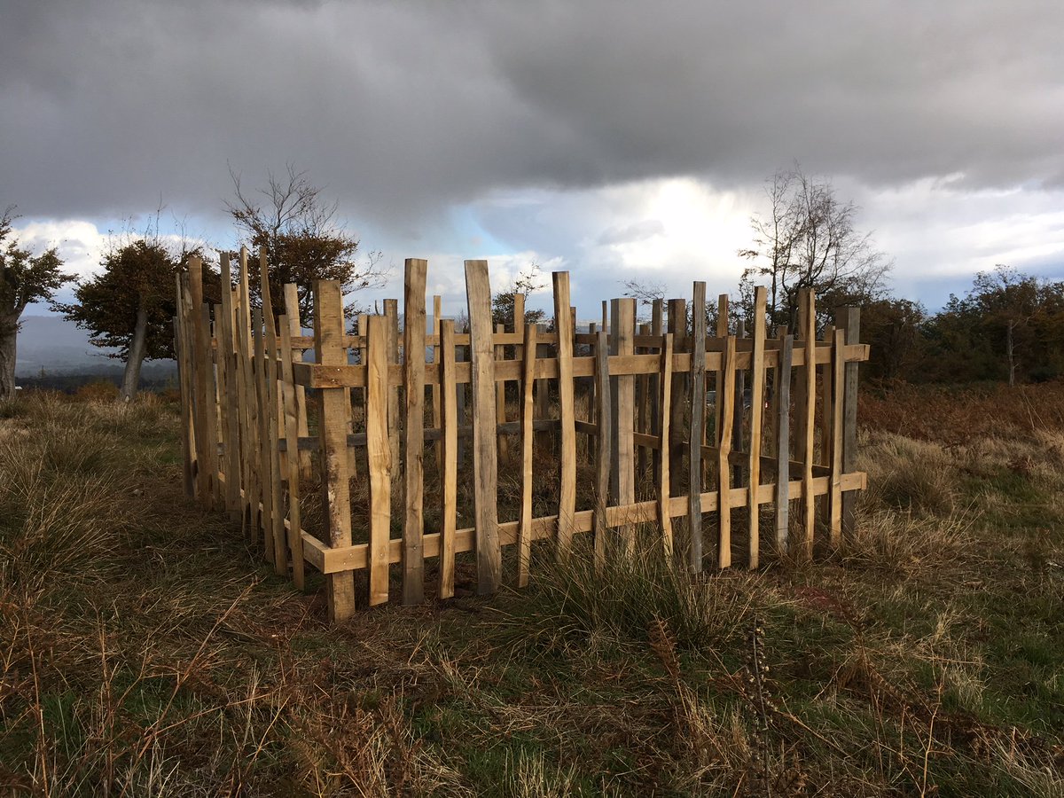 NE_WestMids's tweet photo. This oak &amp; chestnut frame at #Moccas Hill Wood is a trial to see if it can withstand grazing cattle - if so, duplicates will be built and planted with lots of nectar-rich plants such as hawthorn and crab apple in the lower Moccas Park #NNR. #HerefordHour https://t.co/LMmfpDYKBE https://t.co/LAxyjrETfk