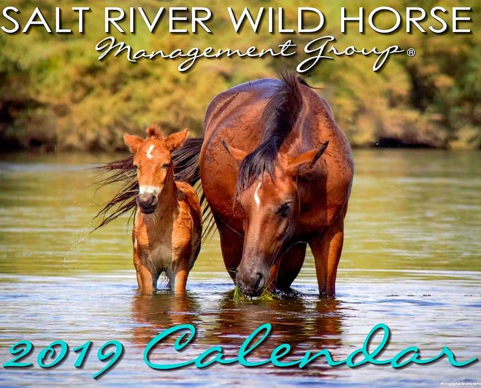 srwhmg's tweet photo. These are the Abbys and their story will amaze you. 
This mare/filly pair is on the front of our 2019 calendar (buy at https://t.co/JBXNd8ikfu  because they are our best survival story of the year:  
Full story: https://t.co/qFfq7xUVfl https://t.co/woTk0KOcSR