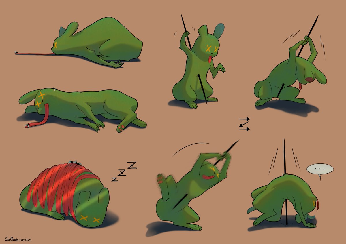 lazy frog #rainworld  #spookcat_mod