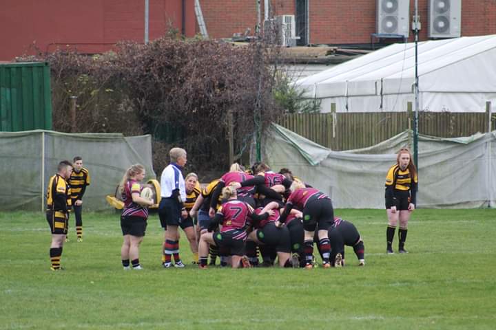 Cranbrook RFC Ladies tweet media