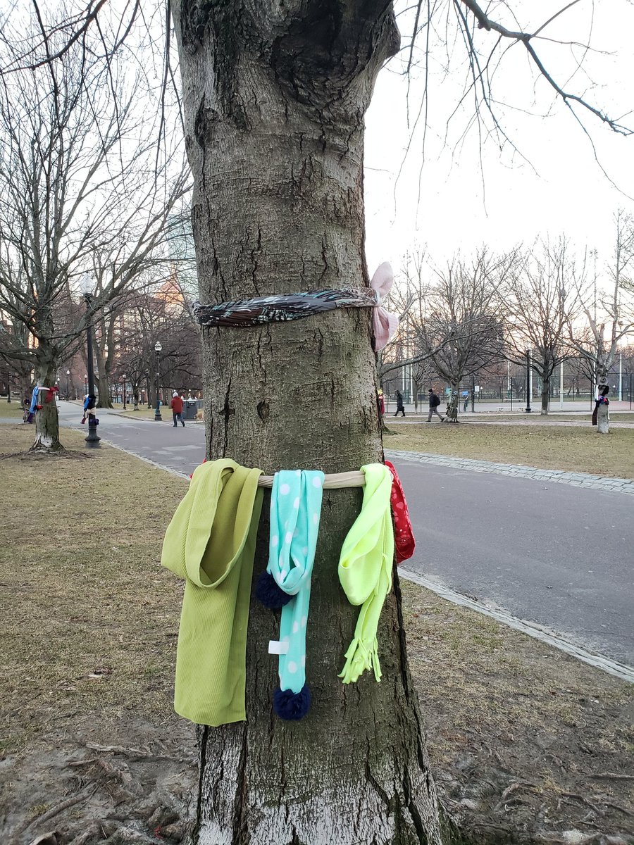 OnlyInBOS's tweet photo. I AM NOT LOST!

If you are stuck out in the cold, please take what you need to keep warm.

Hats, gloves, &amp; scarves are hanging off of trees &amp; lamp posts in Boston Common today for the homeless to grab &amp; stay warm this winter.

❤ https://t.co/IxlV2ufL8j