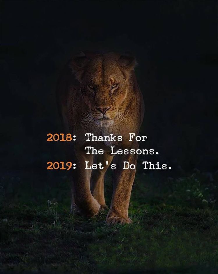 CoachLNoble's tweet photo. #MondayMotivation  What conversations are you having with yourself?  Are they filled with self-doubt and  criticism or are they focused on your #purpose. This year with courage, compassion and #vision your mind on achieving your goals.  Your #mindset determines your outcome. https://t.co/RusfDdJDfs