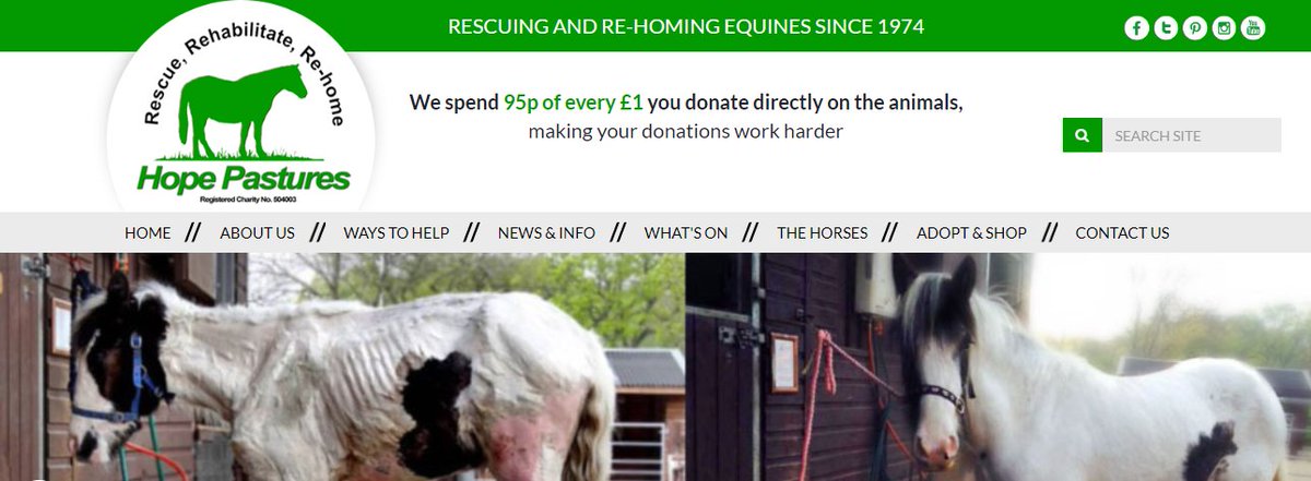 Equestrian_ID's tweet image. Hope Pastures are the Official Charity at @BETA_Int 2019 &amp;amp; we could not be more pleased for them! If you are there &amp;amp; happen to pass the @HopePastures stand please say hello to them :)

Congratulations to everyone at Hope Pastures!

equestrianid.co.uk/2019/01/congra…