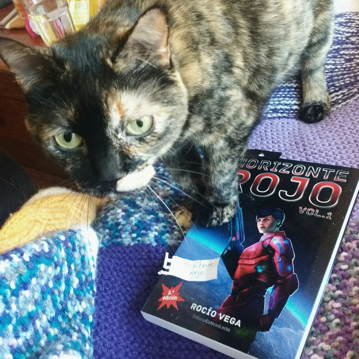 PitiFlusi's tweet photo. @SubPress @KatWithSword Lovely Jaura stepping on my first read of 2019 #picsofmeowsandbarks https://t.co/BvGDcfeD26