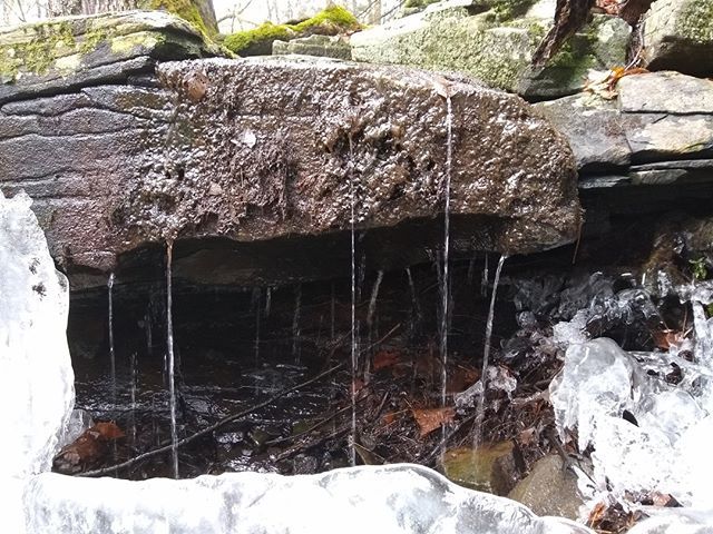 DHConservancy's tweet photo. Tiny #waterfall.
#nature #landtrust #dhconservancy #delawareriver #landconservation #conservation #forests #cleanwater #protectedland #optoutside #escapebrooklyn #catskills #iloveny #poconomtns #liveauthentic #pin #4states1source #ScenicWildDelawareRive… https://t.co/BMQsg9MJg3 https://t.co/Eqi7pMGhHw