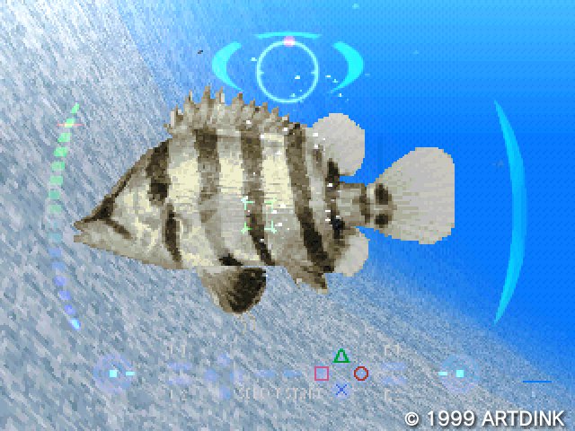 もっちん On Twitter アクアノートの休日2 やってみた アクアノートの休日 ゲームアーカイブス プレステ1 アートディンク 魚