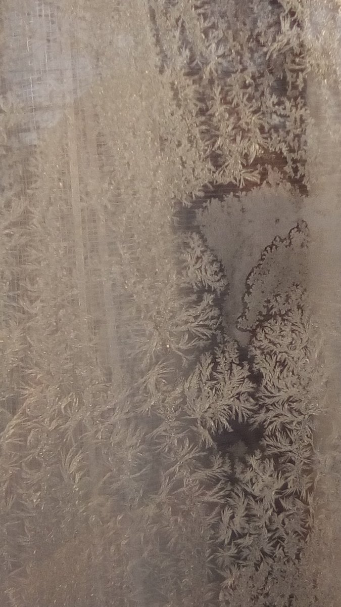 vasy13ionela's tweet photo. #20190107 , #ice , #iceflowers , #frostwork , #window , #jackfrost , #winter #✴ #🕗 #🇲🇩 #🌬️ #❄️ #📷 #📸 https://t.co/q2bXiLCiow