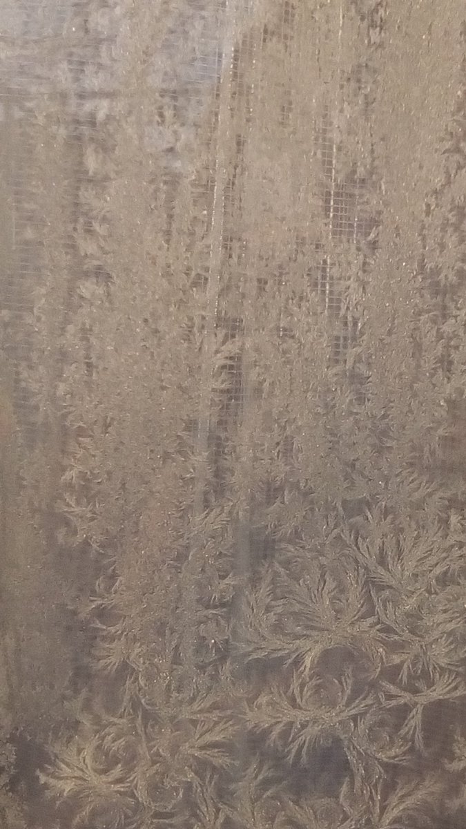 vasy13ionela's tweet photo. #20190107 , #ice , #iceflowers , #frostwork , #window , #jackfrost , #winter #✴ #🕗 #🇲🇩 #🌬️ #❄️ #📷 #📸 https://t.co/q2bXiLCiow